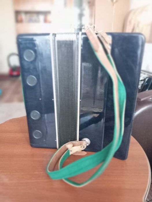 Баян аккордеон гармошка