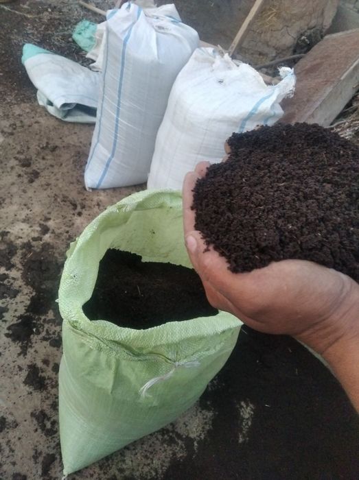 1кв 2 банан каробкада “Клифорния қизил чувалчанглари“:
- 400 минг сýм