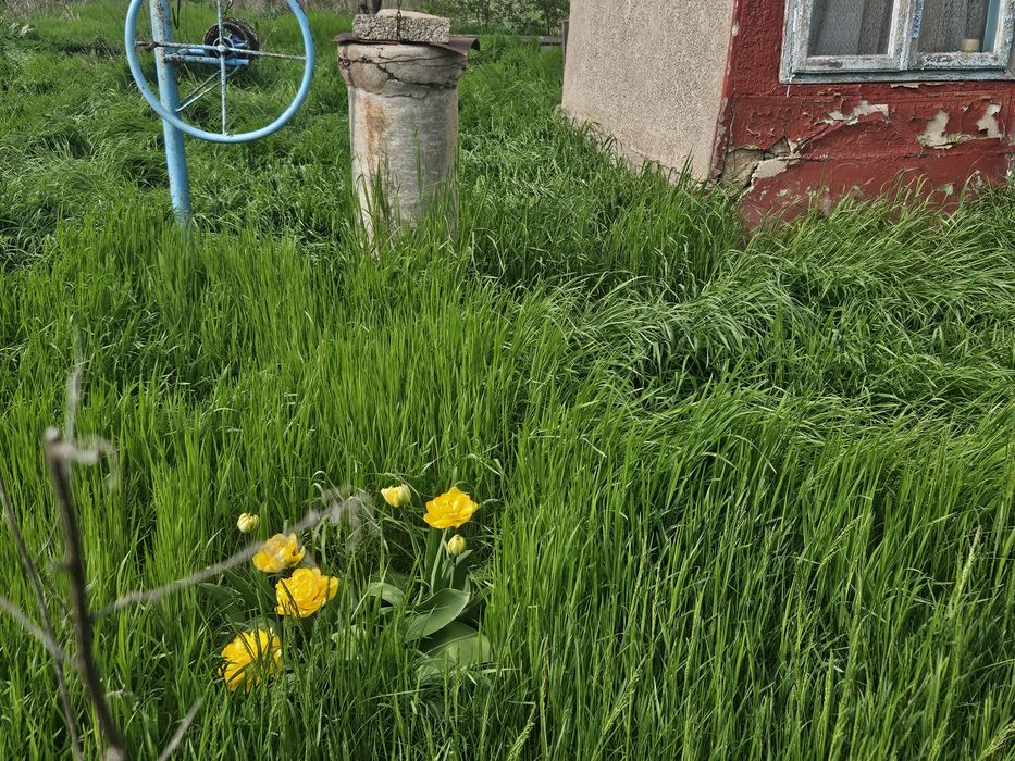 Vând teren intravilan Schela