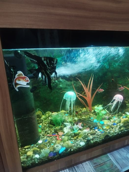 Продам аквариум с усиленным столиком