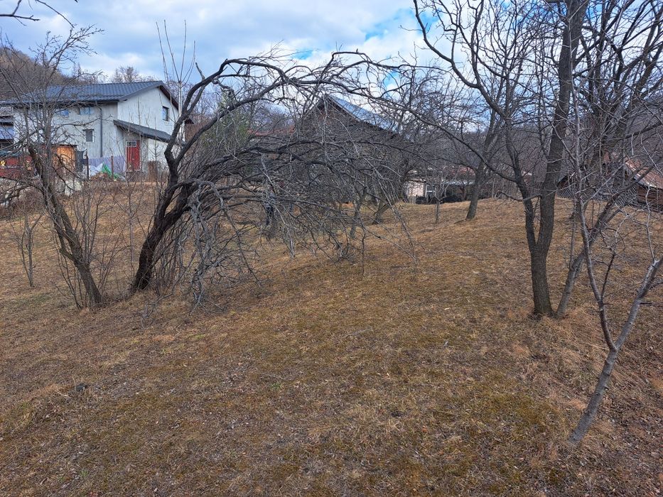 Teren intravilan