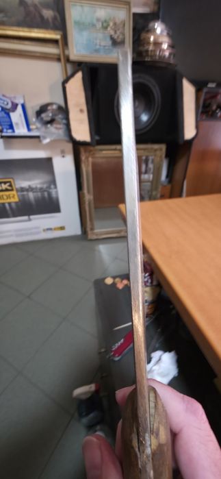 Сатъри немски,български