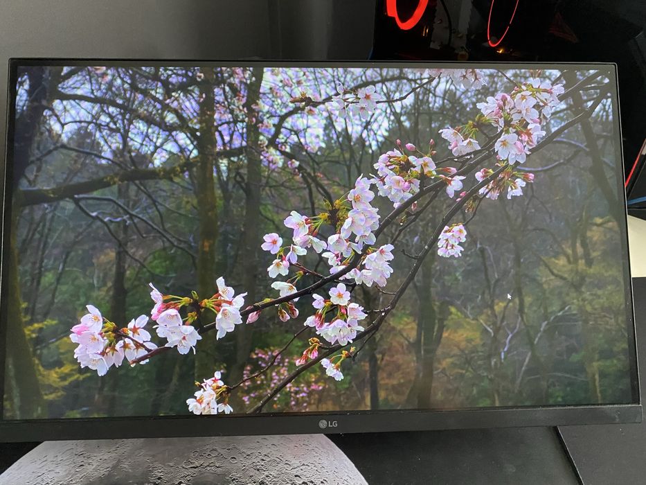 Монитор 240 герц