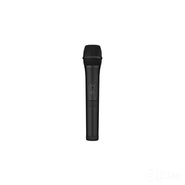 Колонка с микрофоном  Портативная колонка Fenda PA300 100W  сабвуфер