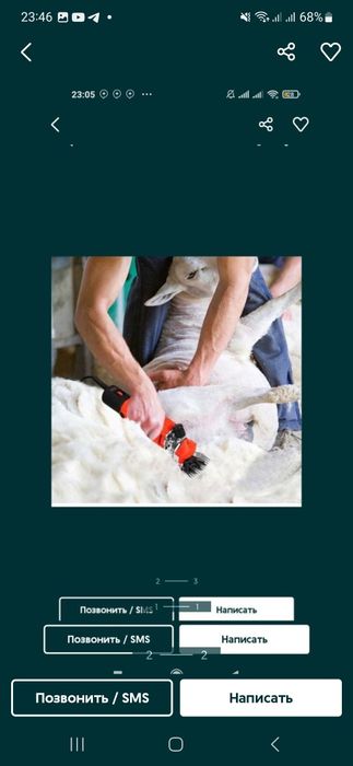 Qõy yungini olish (qaychi va moshinka)