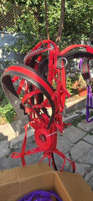 Амуниции за коне