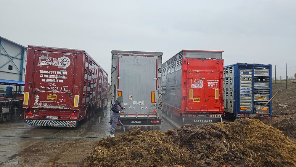 Transport animale vii