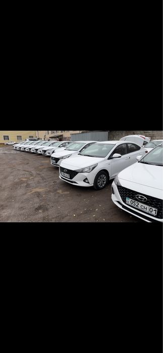 Новые Accent Hyundai, в аренду под такси.
