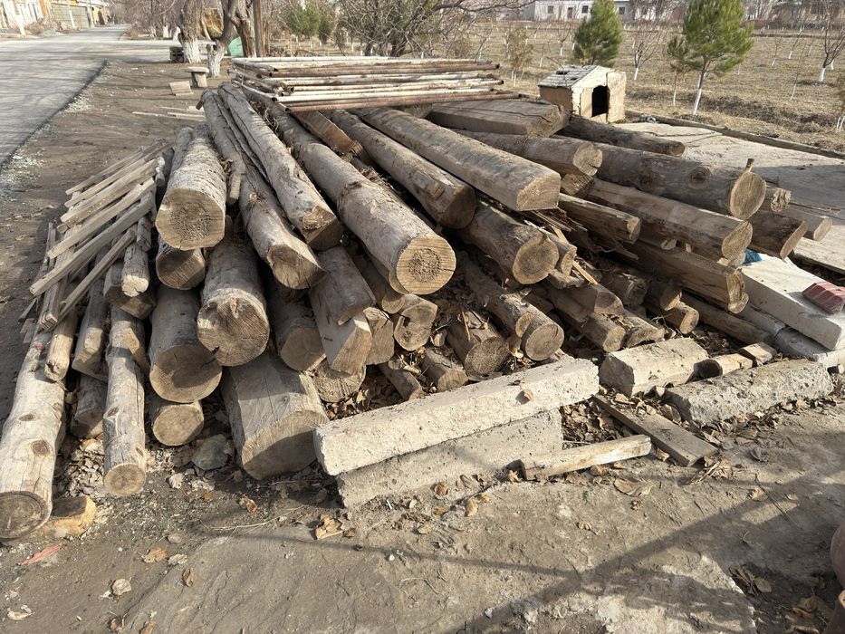 Taxta bolor…………………….