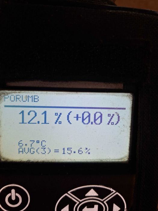 Vand porumb boabe uscat