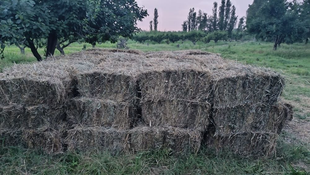 Mayin o'tdan qilingan press sotiladi