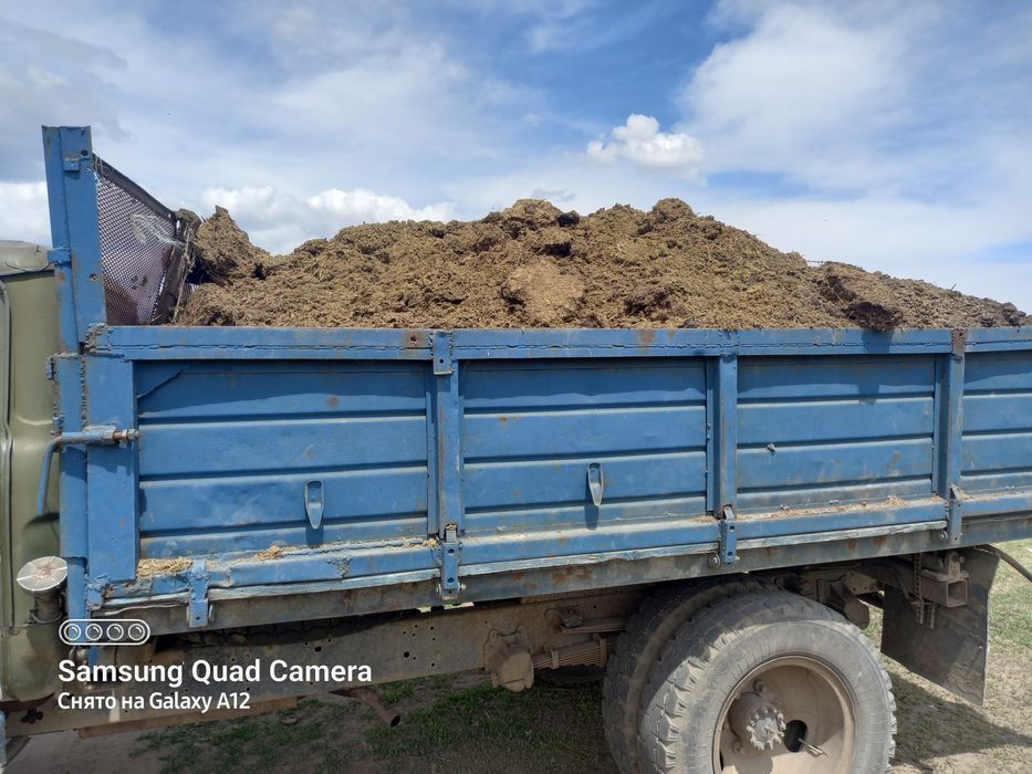 Конский навоз есть перегной