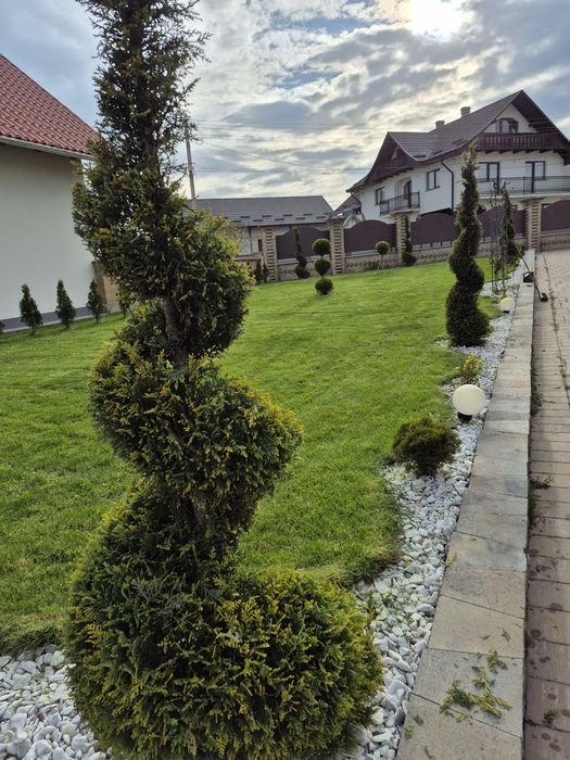 Irigații gazon /amenajare gradini