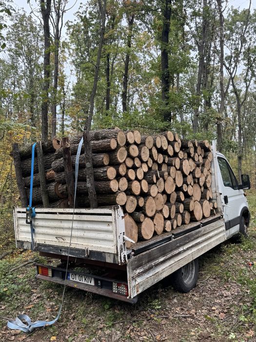 Lemne de stejar de vanzare