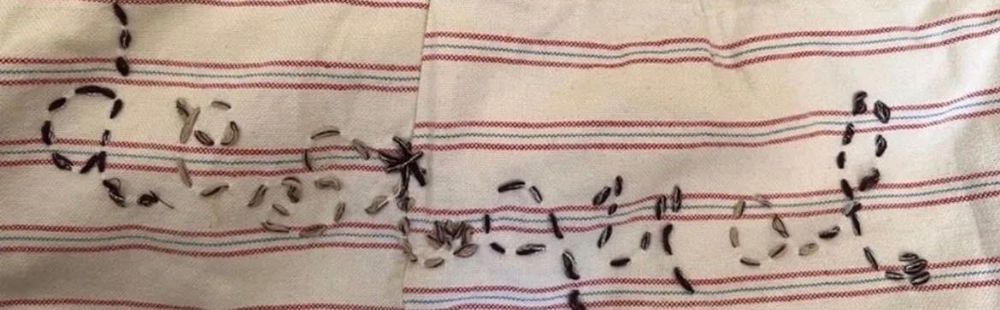Jachetă Desigual
