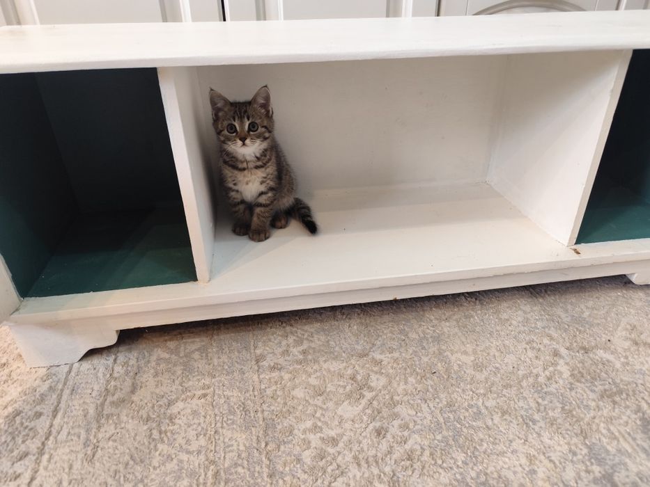 Тумба для обуви.  Из советской тумбы.