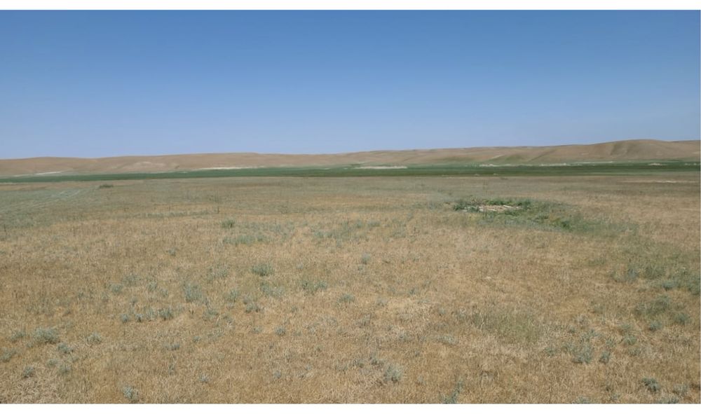 Фазенда крестянское хозяйство кашар