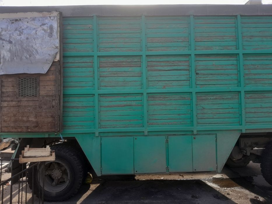 Прцеп каратишка сәл саудасыбар