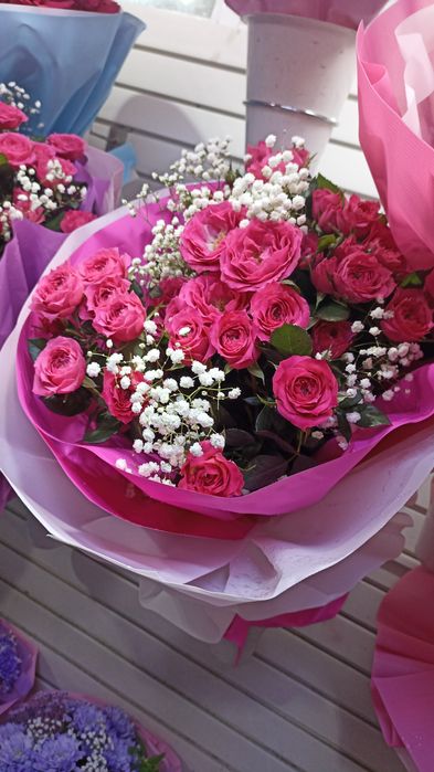 Роза и белый гипсофила