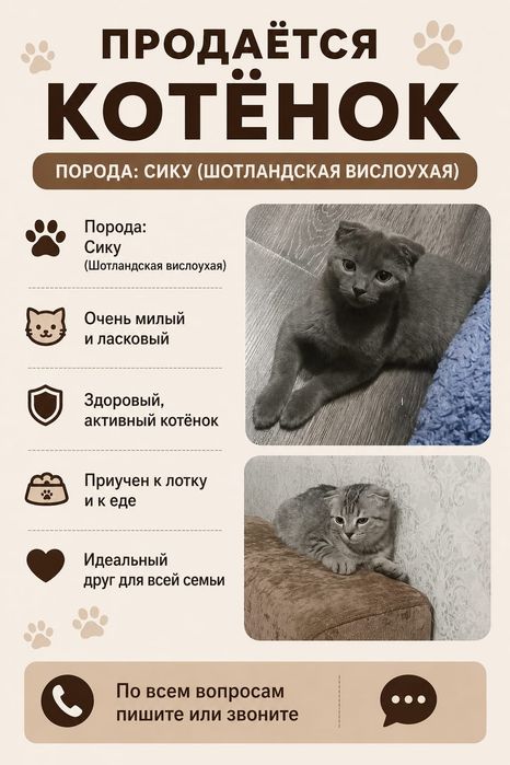 Домашние животные