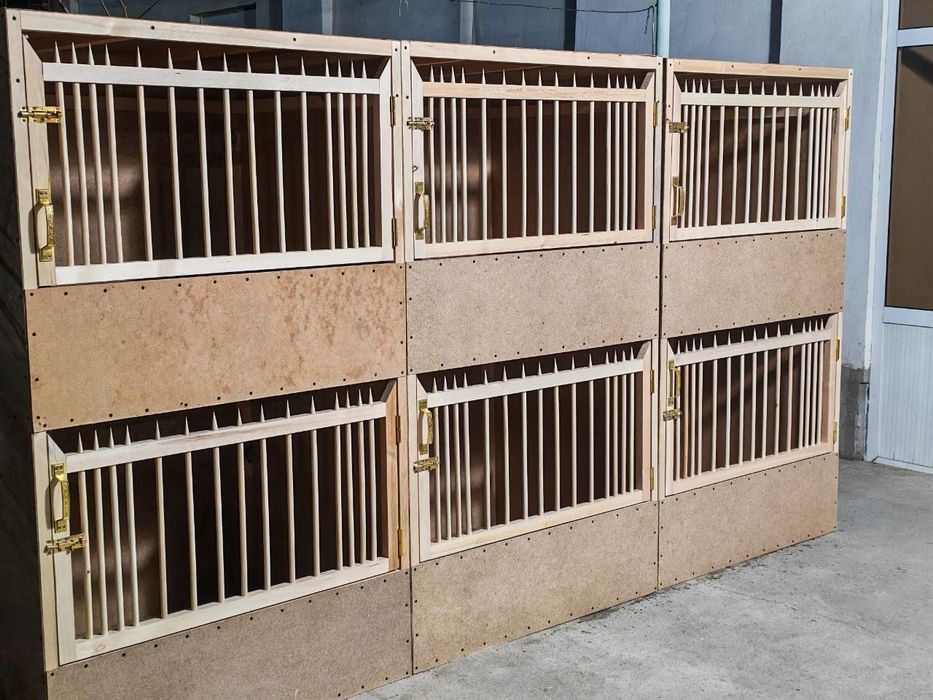 Dakan XO'ROZ uchun kataklar sotiladi