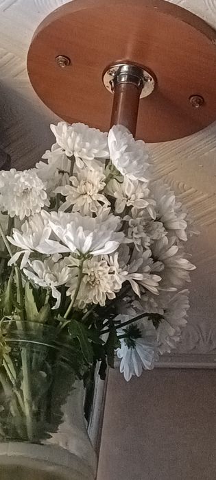 Продам полку под цветы