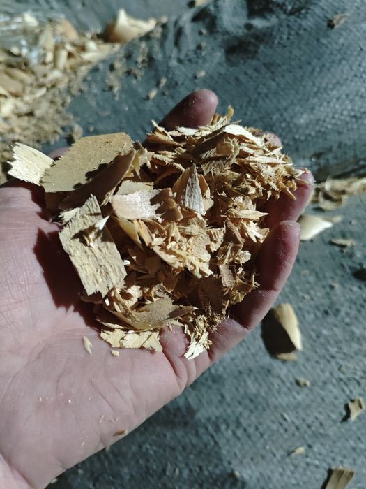 Продаются берёзовые стружки