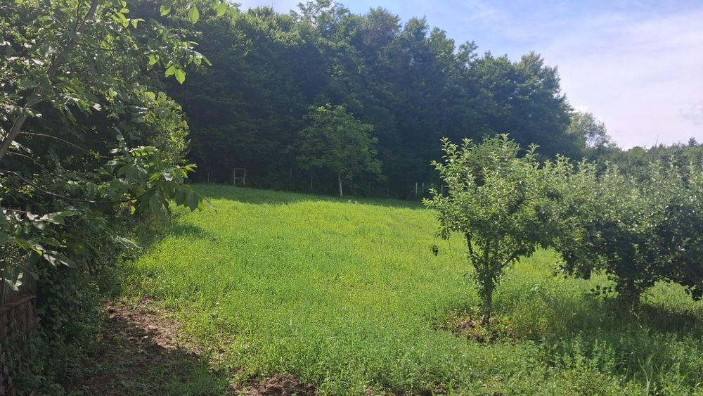 Mărăcineni  Argeșelu  zona moara