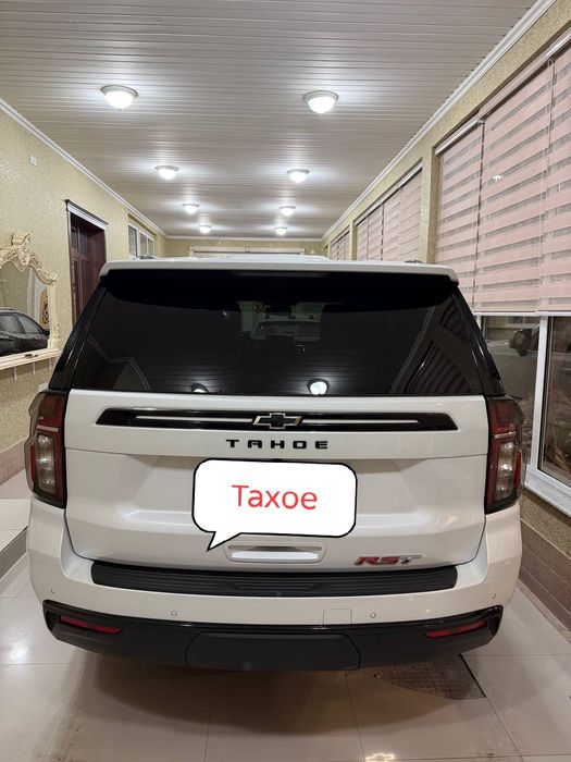 Taxoe 2023. Тозза