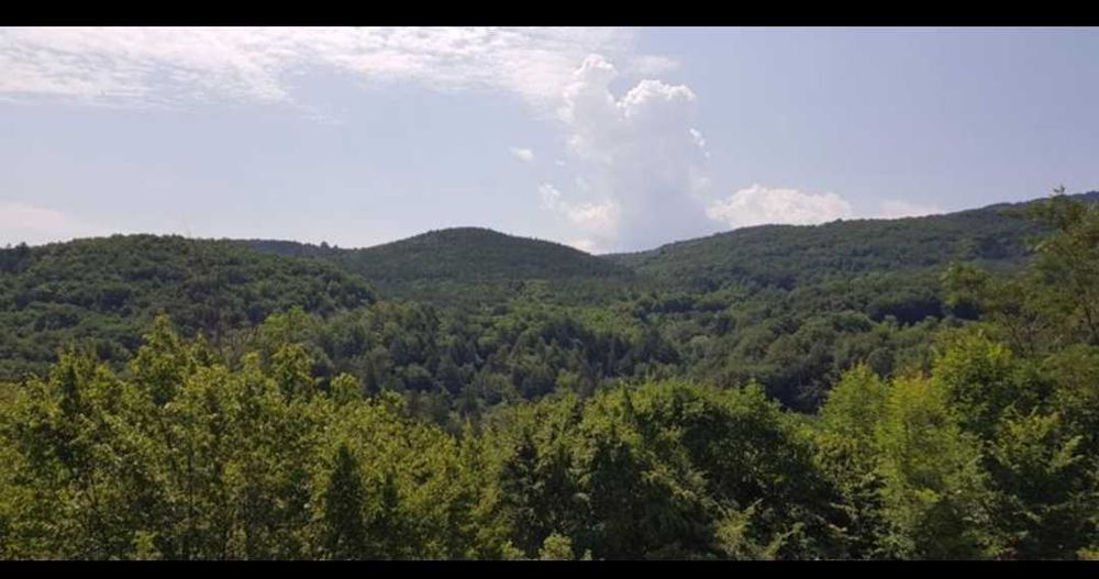 Продава се Парцел в с. Руен, Област Пловдив - 3362 кв.м за 28 €/кв.м - Снимка #3