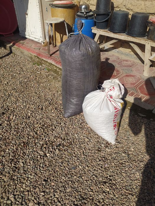 Свои урючные косточки