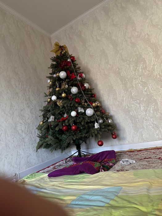 Продаю елку ,срочно
