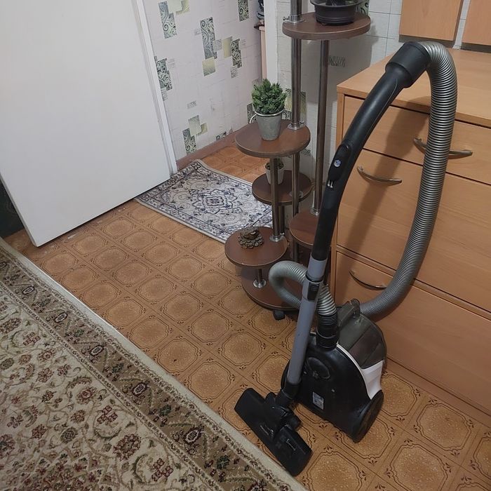 Пылесос отдам за 2 гориллы