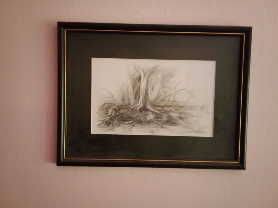 Колекционерска картина