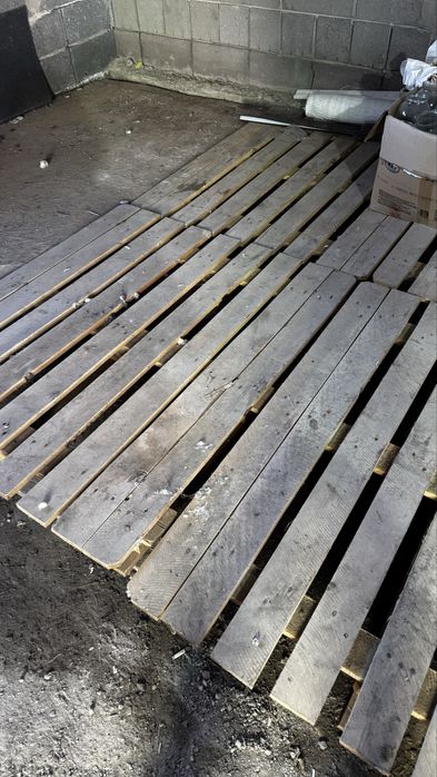 Продам поддоны 8 шт