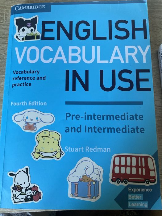 English vocabulary in use(pre-intermediate and intermediate)