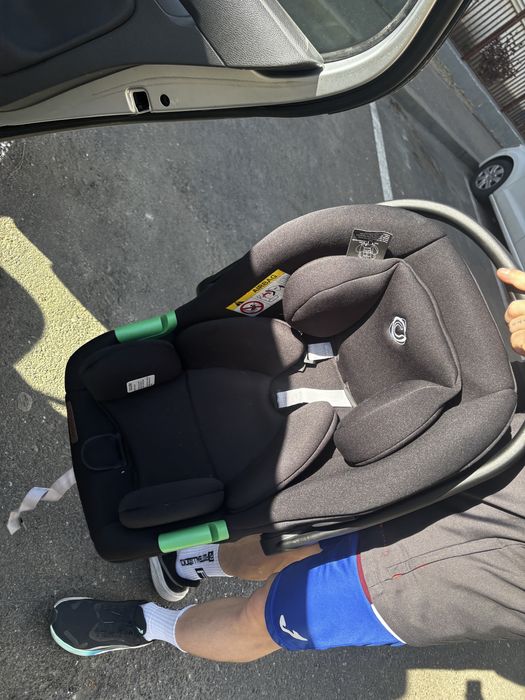 Scoică bebe coccolle