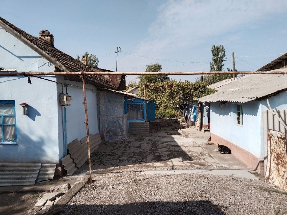 Янгибозорда Уй  сотилади