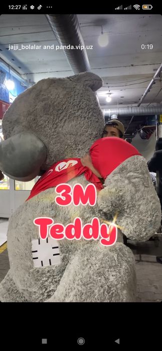 Teddy, Teddi, Тедди (3м)