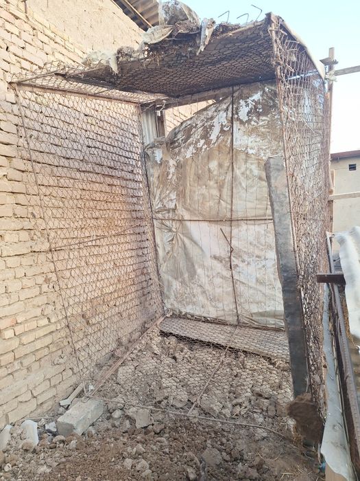 Товук катак сотилади