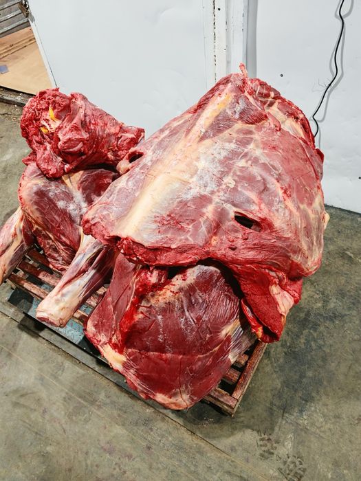 Мясо говядины конины