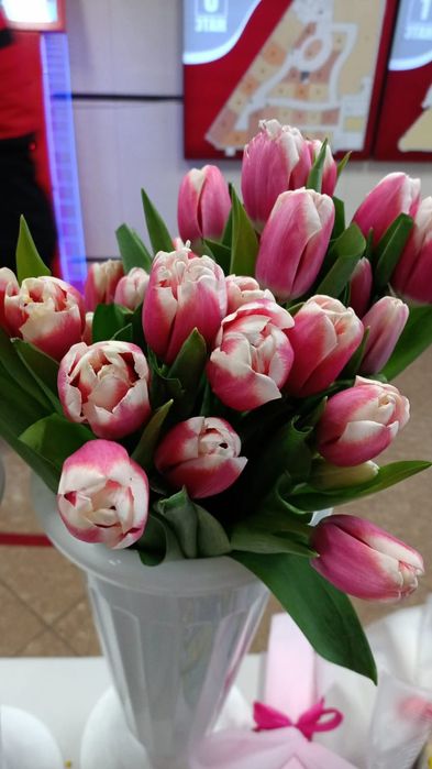 Тюльпаны оптом от 420