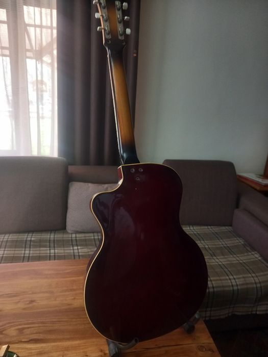 Ленинградские арктопы