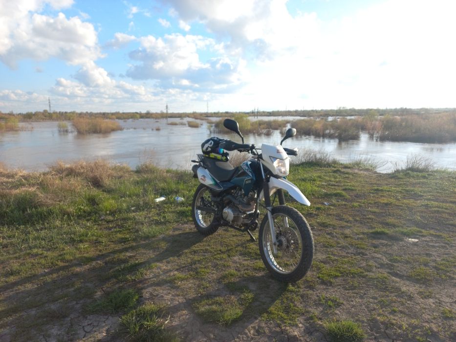 Продам яки торнадо