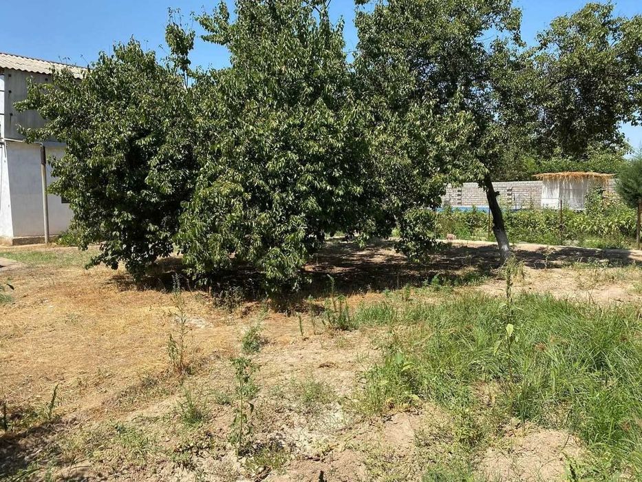 АРЗОН участка ер // Домбрабад