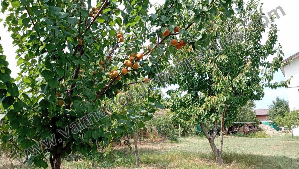 Къща на 15 км от Балчик