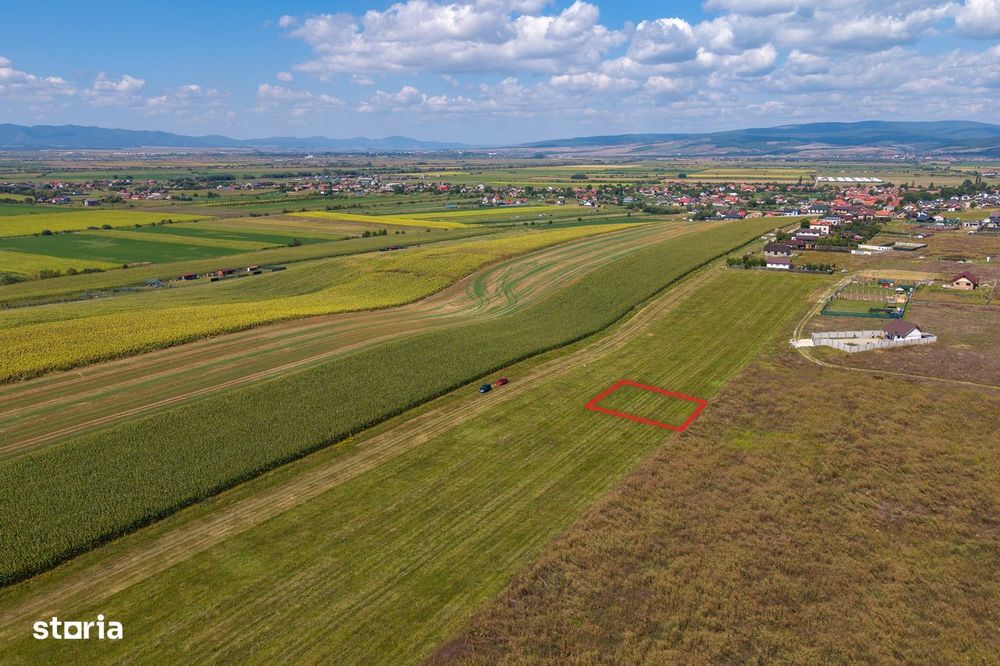 Teren intravilan, 590mp, Bod, lângă Brașov