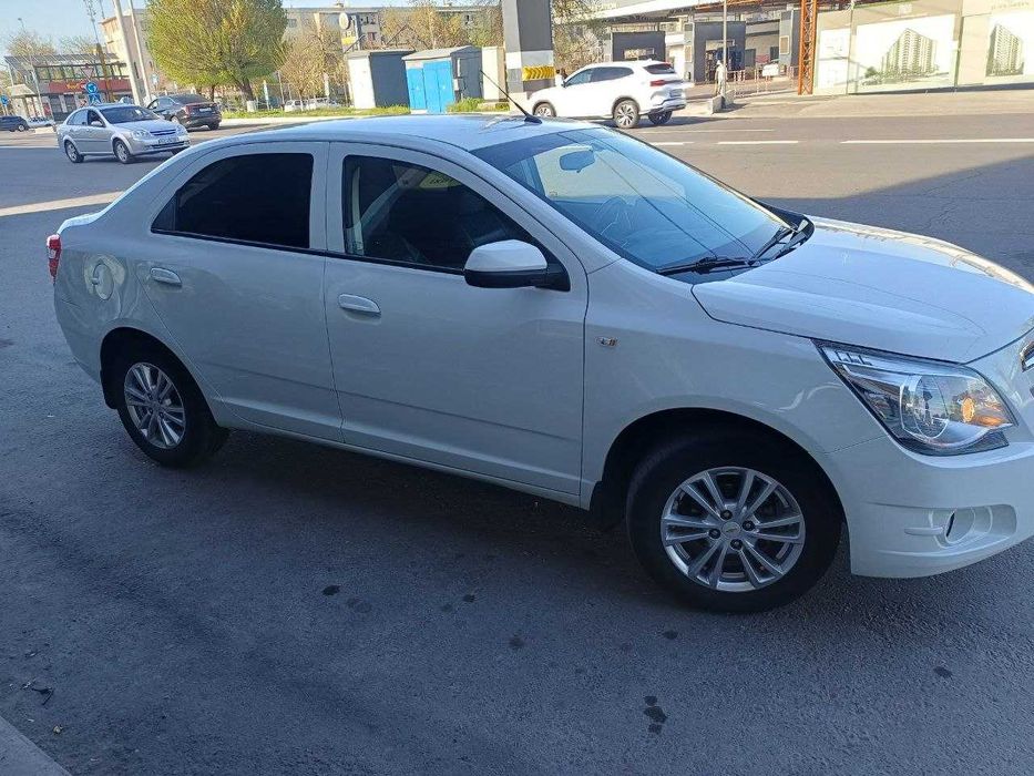 coblt 2023 holati zor prapan bor