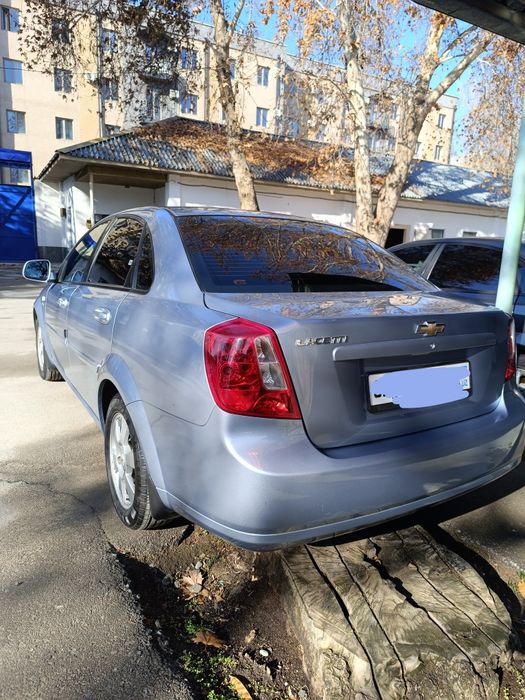 Джентра, дельфин 2019