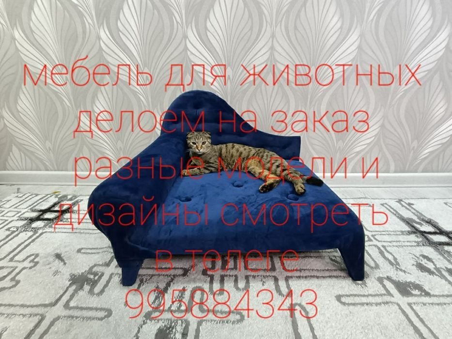 Мебель  на заказ качество и красота 100%